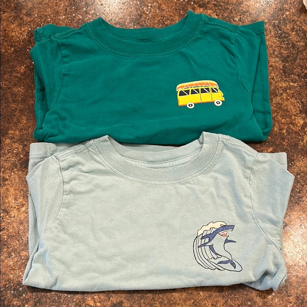 Hanna Anderson Kids' Teal and Light Blue Graphic T-Shirts